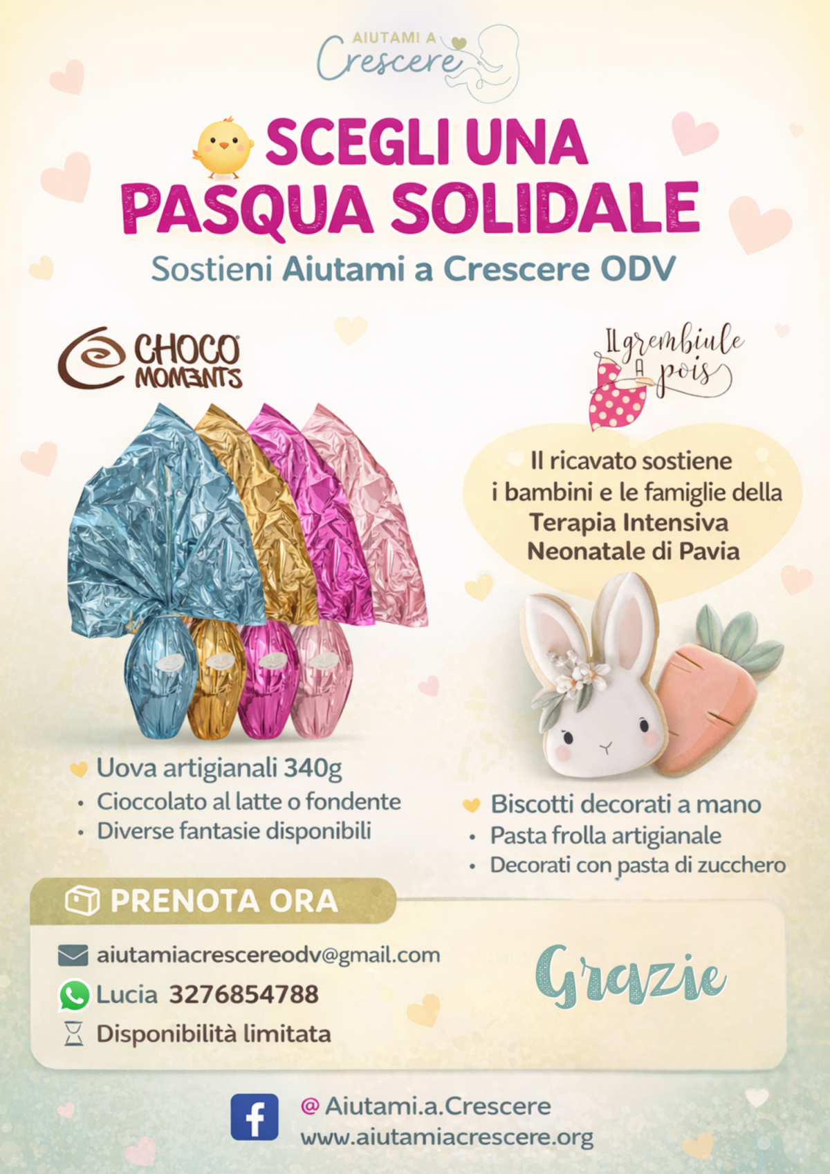 Uova di Pasqua solidali Pavia